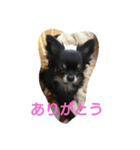 癒してくれる仲間たち（個別スタンプ：14）