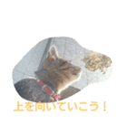 癒してくれる仲間たち（個別スタンプ：16）