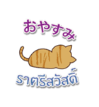 毎日楽しめる 猫ちゃん 日本語タイ語（個別スタンプ：4）