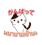 毎日楽しめる 猫ちゃん 日本語タイ語（個別スタンプ：5）