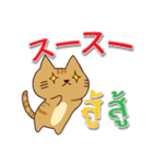 毎日楽しめる 猫ちゃん 日本語タイ語（個別スタンプ：6）