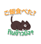 毎日楽しめる 猫ちゃん 日本語タイ語（個別スタンプ：12）