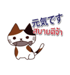 毎日楽しめる 猫ちゃん 日本語タイ語（個別スタンプ：15）