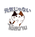 毎日楽しめる 猫ちゃん 日本語タイ語（個別スタンプ：16）