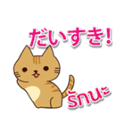 毎日楽しめる 猫ちゃん 日本語タイ語（個別スタンプ：17）