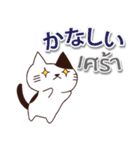 毎日楽しめる 猫ちゃん 日本語タイ語（個別スタンプ：22）