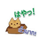 毎日楽しめる 猫ちゃん 日本語タイ語（個別スタンプ：29）