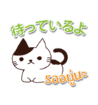 毎日楽しめる 猫ちゃん 日本語タイ語（個別スタンプ：31）