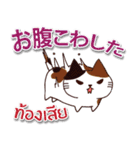 毎日楽しめる 猫ちゃん 日本語タイ語（個別スタンプ：38）