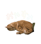 unashisha02（個別スタンプ：2）