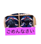 ai.kaori（個別スタンプ：4）