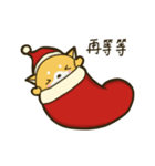 Shiba Christmas（個別スタンプ：6）