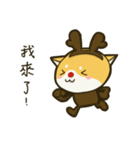 Shiba Christmas（個別スタンプ：7）