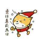 Shiba Christmas（個別スタンプ：11）