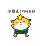 Shiba Christmas（個別スタンプ：17）