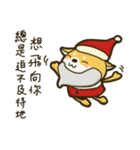 Shiba Christmas（個別スタンプ：20）