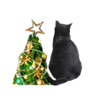 クリスマスとパーティと誕生日の猫写真（個別スタンプ：4）