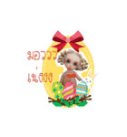 AMTcommunity（個別スタンプ：5）