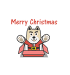 Poka Rabbit-Merry Christmas（個別スタンプ：1）