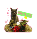 MU☆MerryX'mas（個別スタンプ：1）