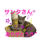 MU☆MerryX'mas（個別スタンプ：3）