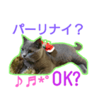 MU☆MerryX'mas（個別スタンプ：6）