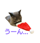 MU☆MerryX'mas（個別スタンプ：7）