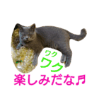 MU☆MerryX'mas（個別スタンプ：8）