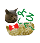 MU☆MerryX'mas（個別スタンプ：9）