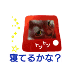 MU☆MerryX'mas（個別スタンプ：10）