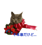MU☆MerryX'mas（個別スタンプ：11）