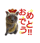 MU☆MerryX'mas（個別スタンプ：13）