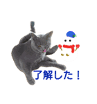 MU☆MerryX'mas（個別スタンプ：14）
