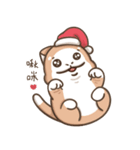 Multiple personality cat - Christmas（個別スタンプ：13）