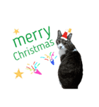 ロンのクリスマス（個別スタンプ：1）