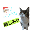 ロンのクリスマス（個別スタンプ：2）