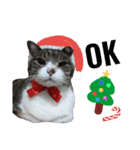ロンのクリスマス（個別スタンプ：3）