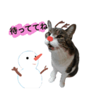 ロンのクリスマス（個別スタンプ：4）