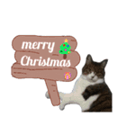 ロンのクリスマス（個別スタンプ：5）