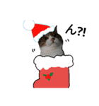 ロンのクリスマス（個別スタンプ：6）