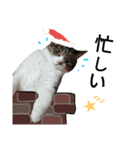 ロンのクリスマス（個別スタンプ：7）