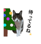 ロンのクリスマス（個別スタンプ：8）