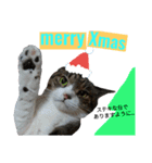 ロンのクリスマス（個別スタンプ：9）