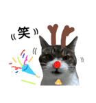 ロンのクリスマス（個別スタンプ：12）