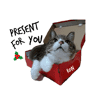 ロンのクリスマス（個別スタンプ：13）