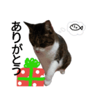 ロンのクリスマス（個別スタンプ：14）