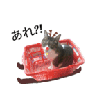 ロンのクリスマス（個別スタンプ：15）