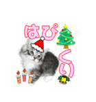 猫のクリスマスと新年のメッセージ（個別スタンプ：2）