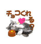 ゴージャスな猫の季節のあいさつ（個別スタンプ：3）