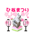 ゴージャスな猫の季節のあいさつ（個別スタンプ：4）